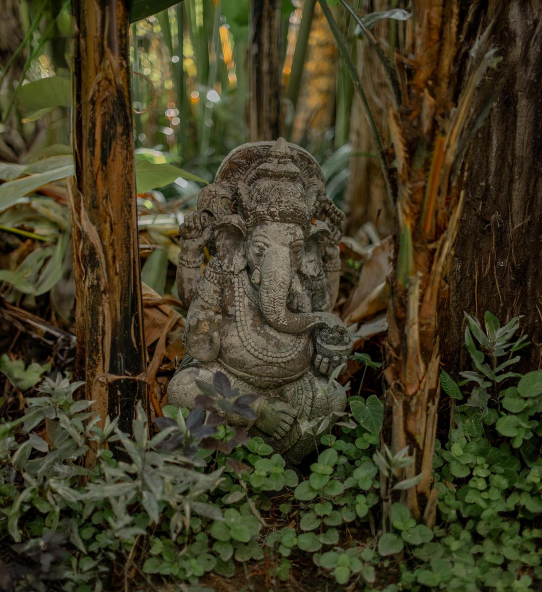 Philosopher Ubud